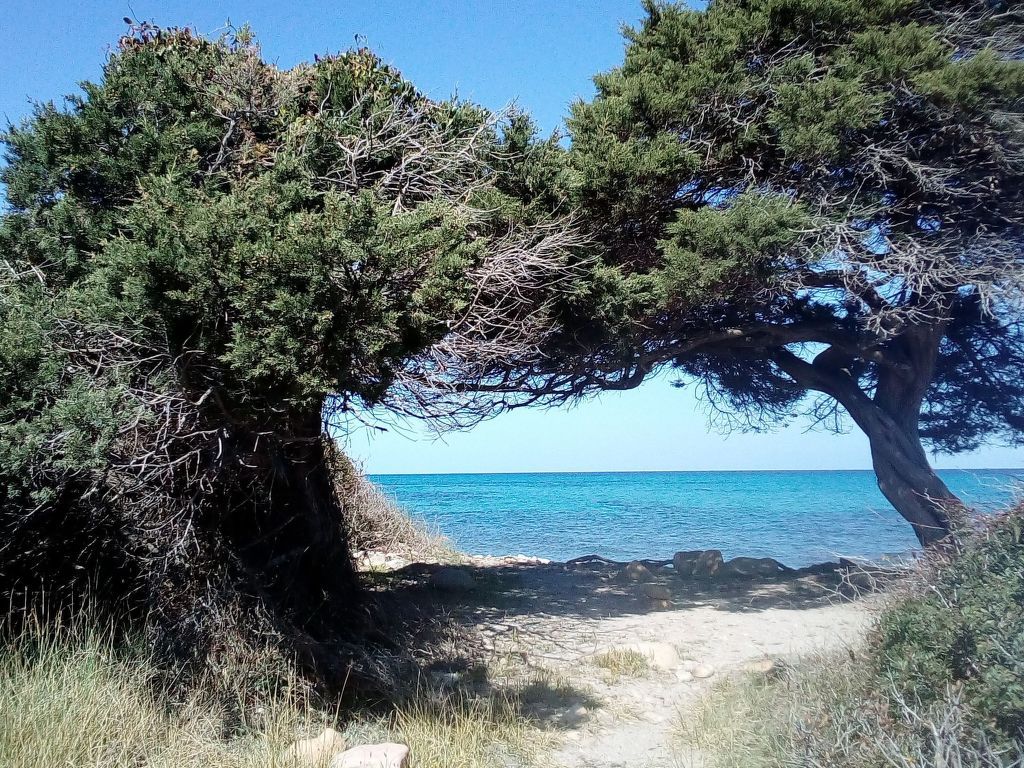 La Caletta Zentral