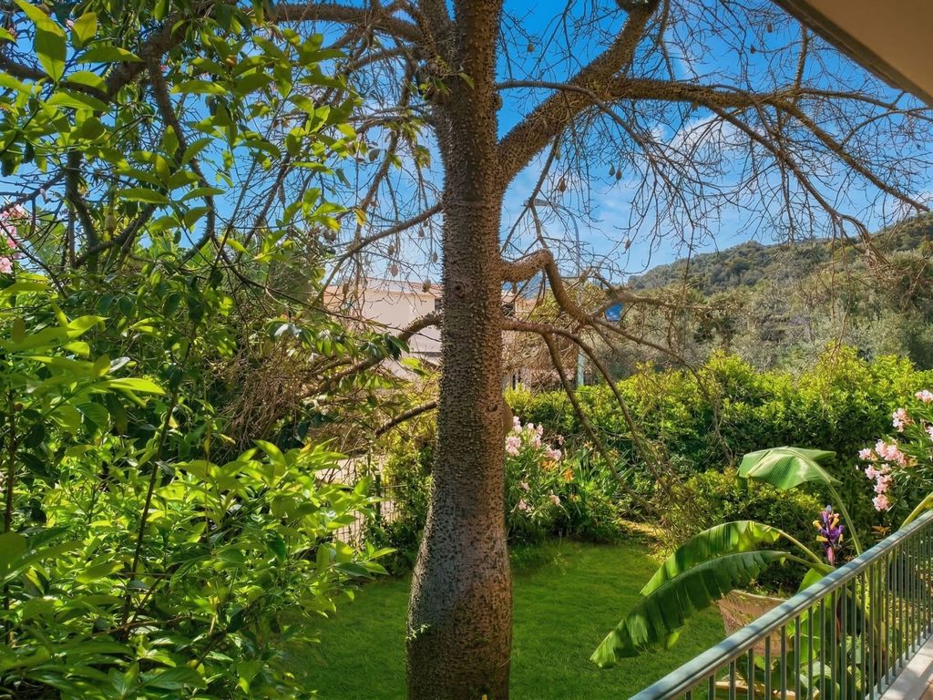 Papaia