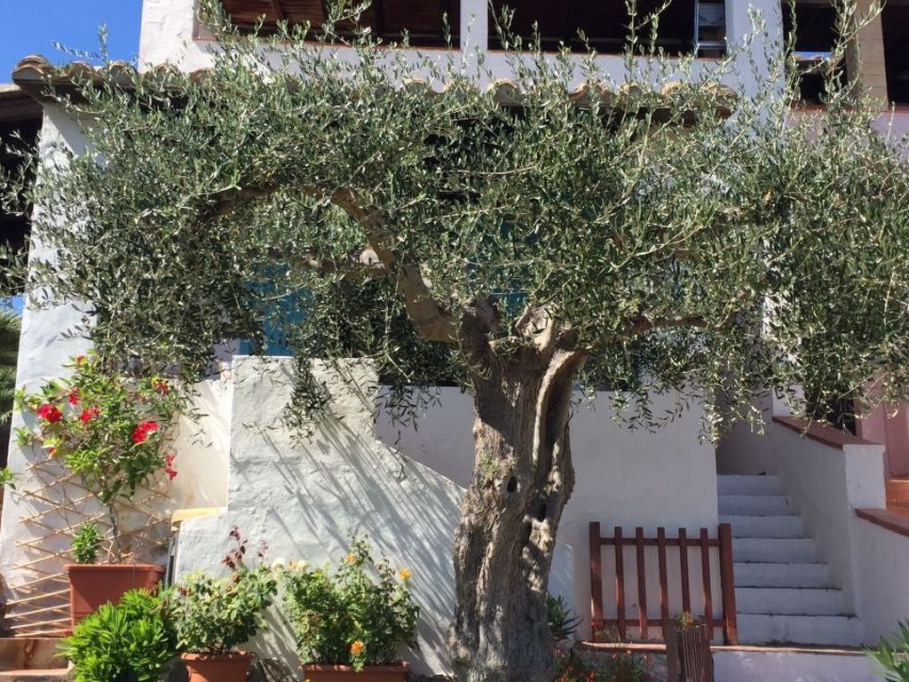 Arcaidu Apartment mit bezaubernder Aussicht