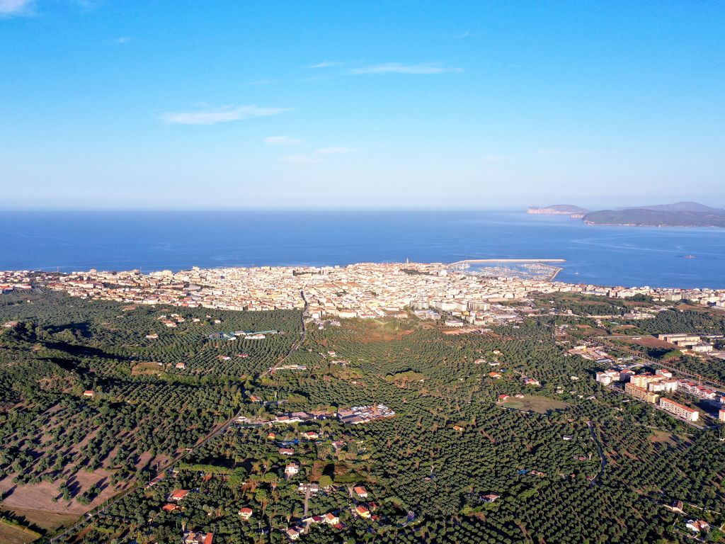 Iolanda