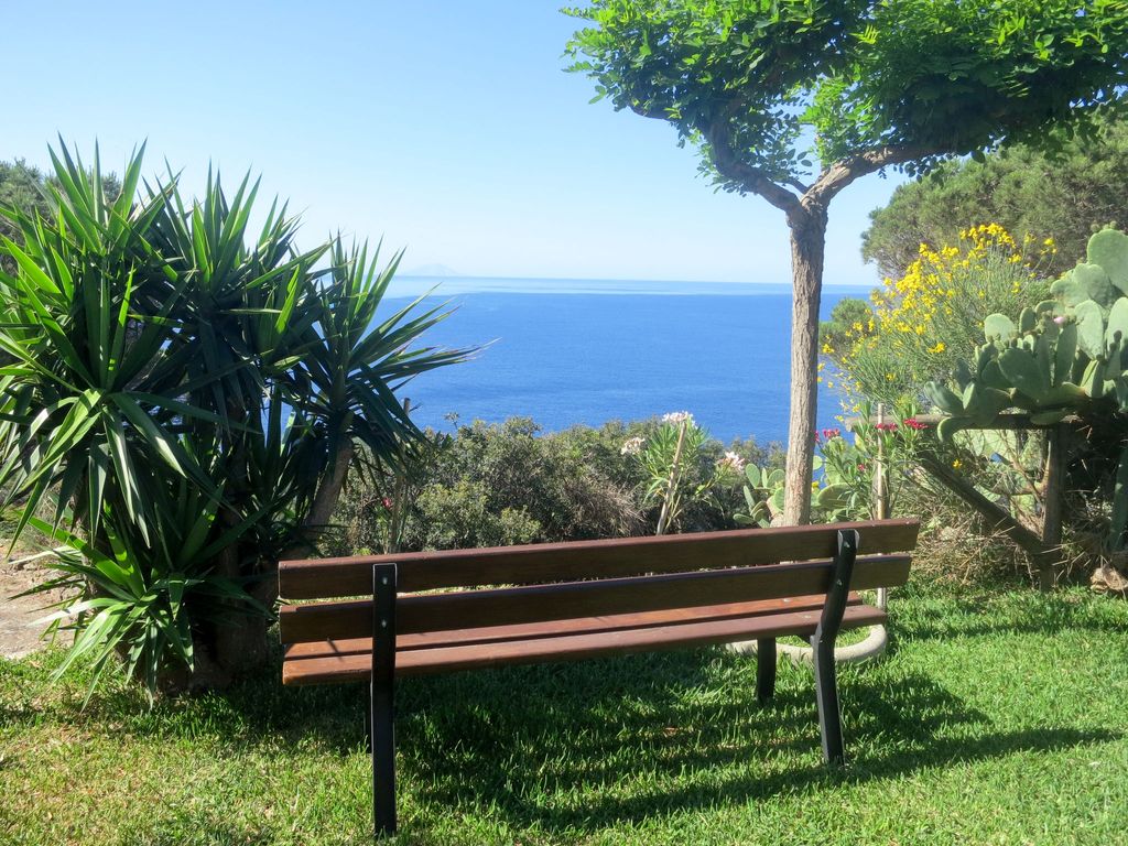 Oasis 1