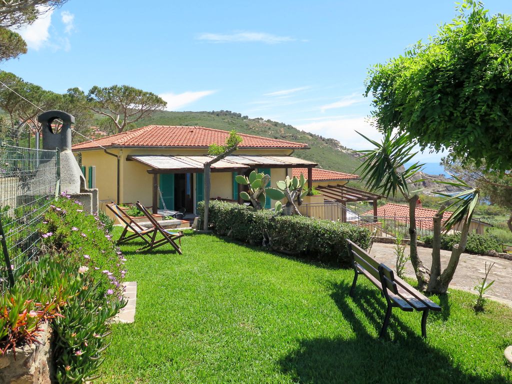 Oasis 1