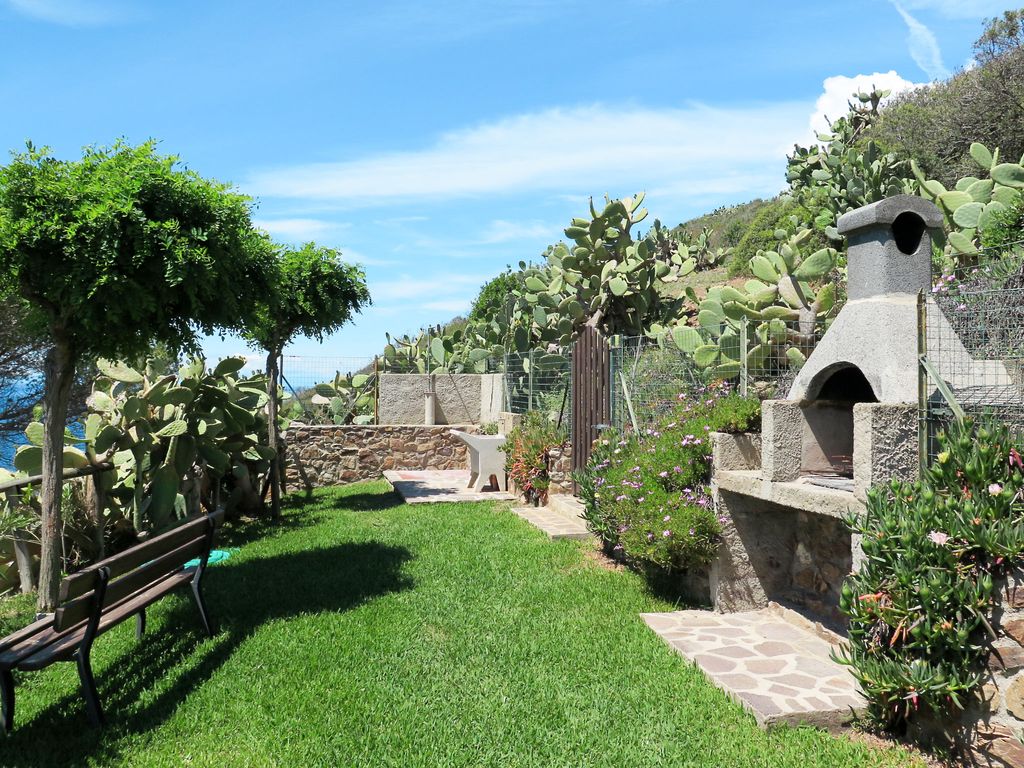 Oasis 1