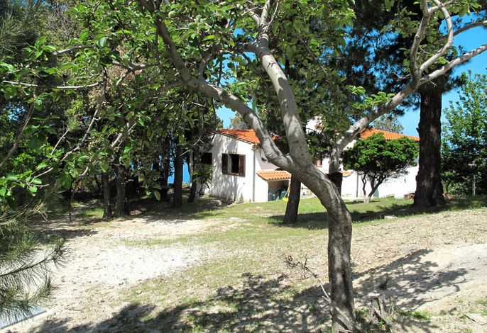 Bild 12