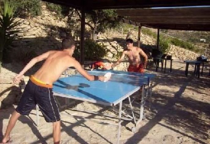 Bild 15