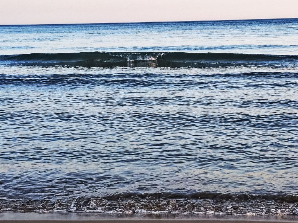 Nautilus