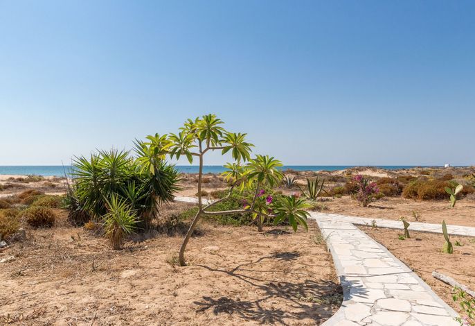 Amarillis, Wohnung am Strand – Foto 2