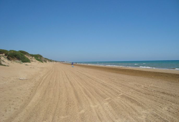 Bild 14