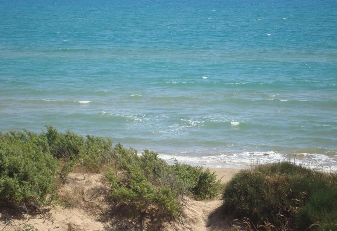 Bild 15