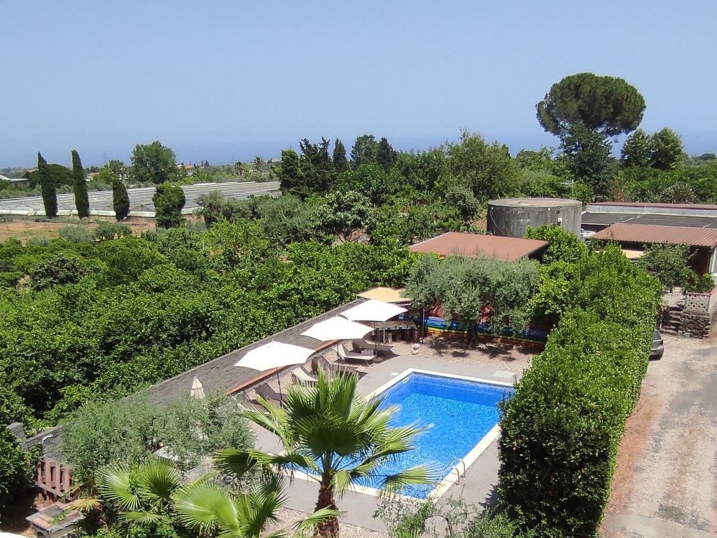 Le Palme in linera