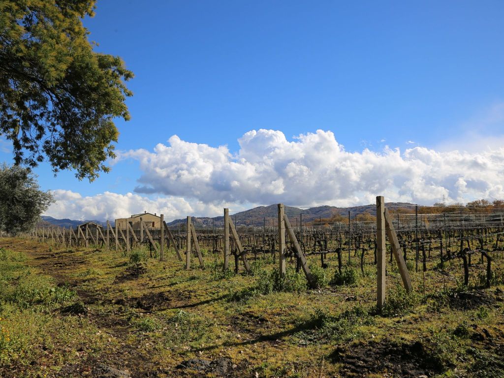 Villa Alloro" inmitten der Nerello-Mascalese-Reben