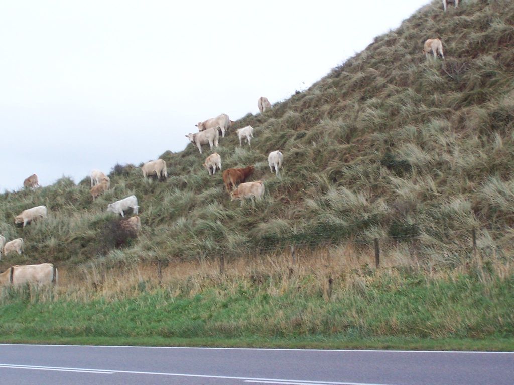 de Korre 2 in Callantsoog