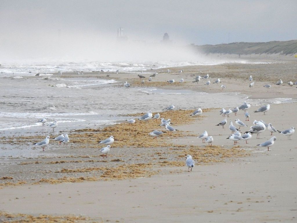 BeachPlace