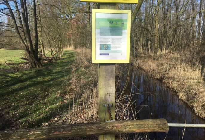 Bild 15