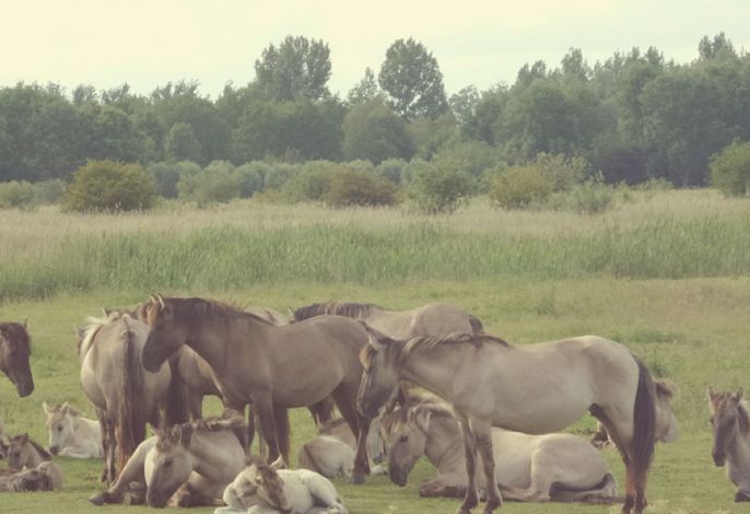 Bild 16