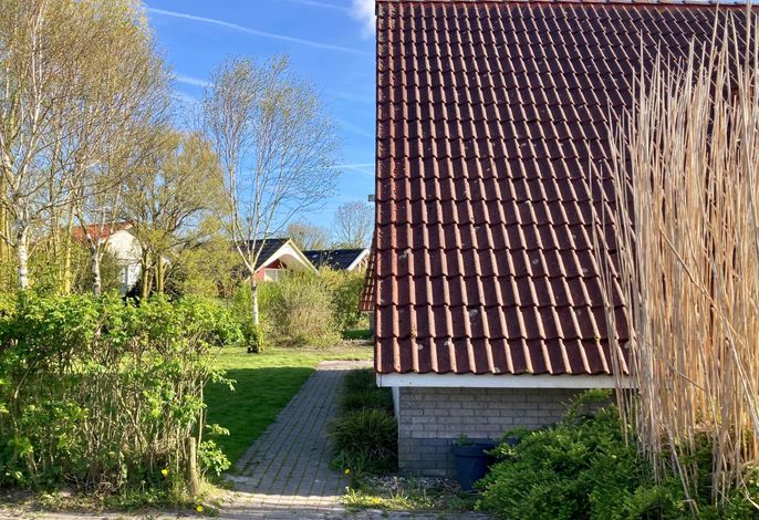 Bild 36