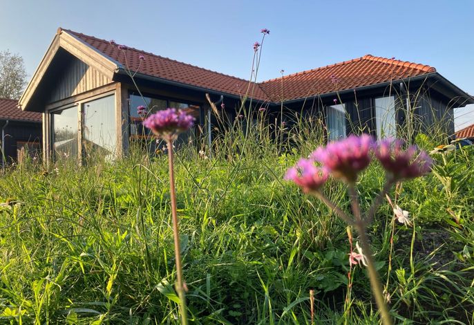 Chalet Ufergrundstück mit eigenem Angelplatz