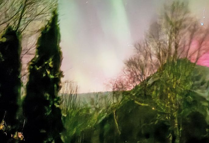 Bild 16