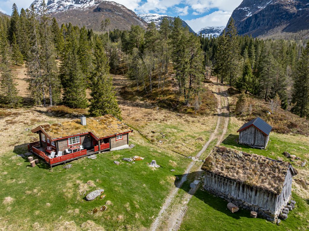 Fjellbris