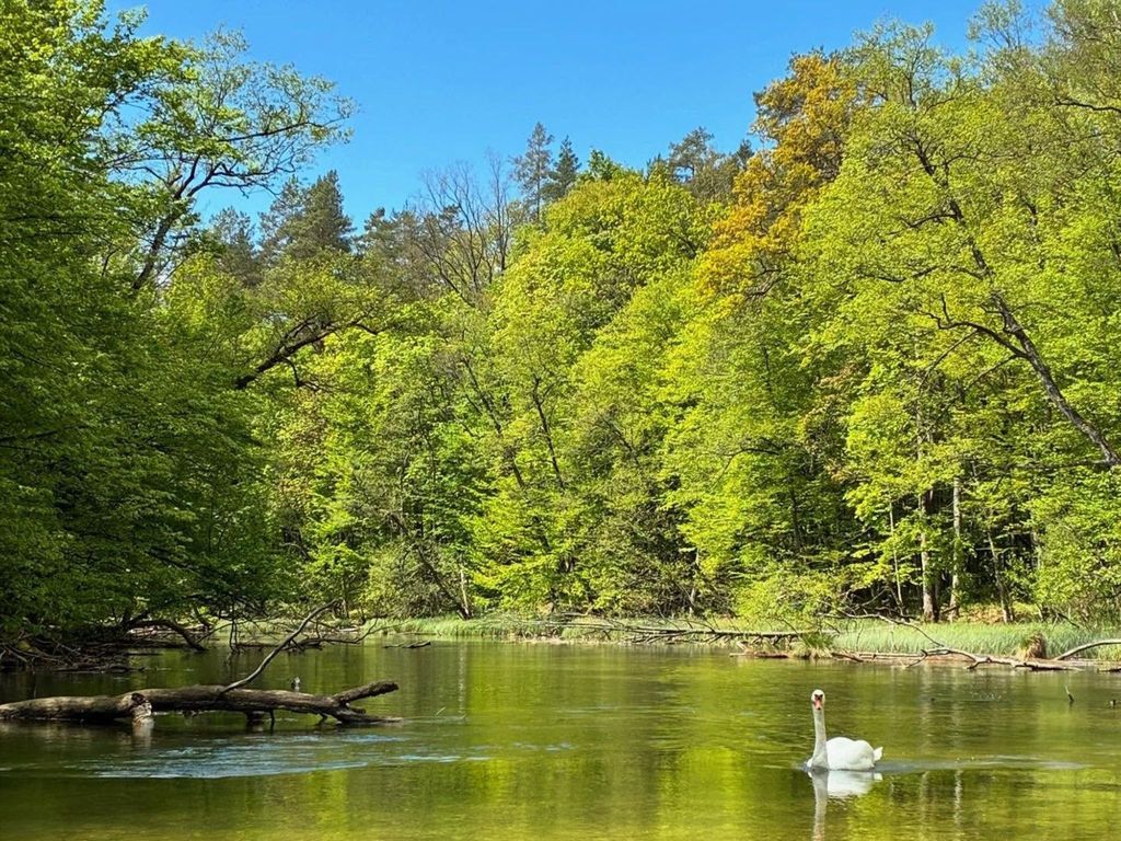 Zagroda nad Krutynią
