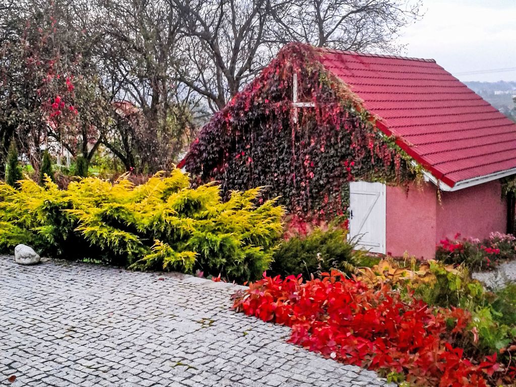 Pękowice