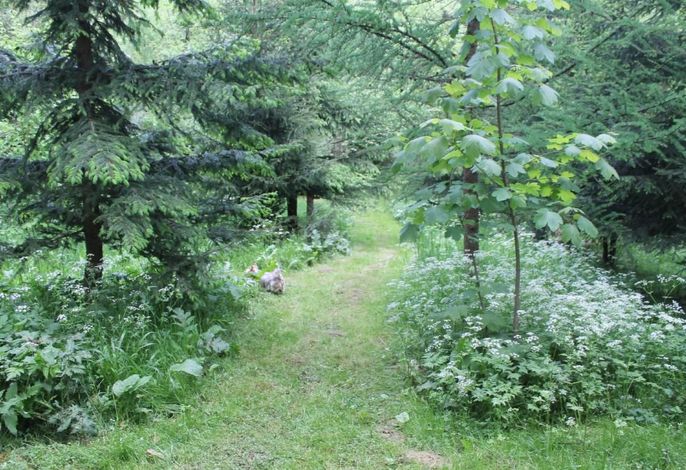 Bild 16