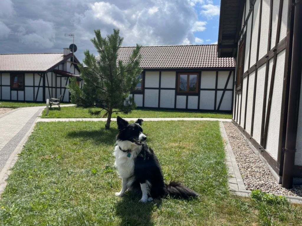 "Haus2" mit Wasserblick