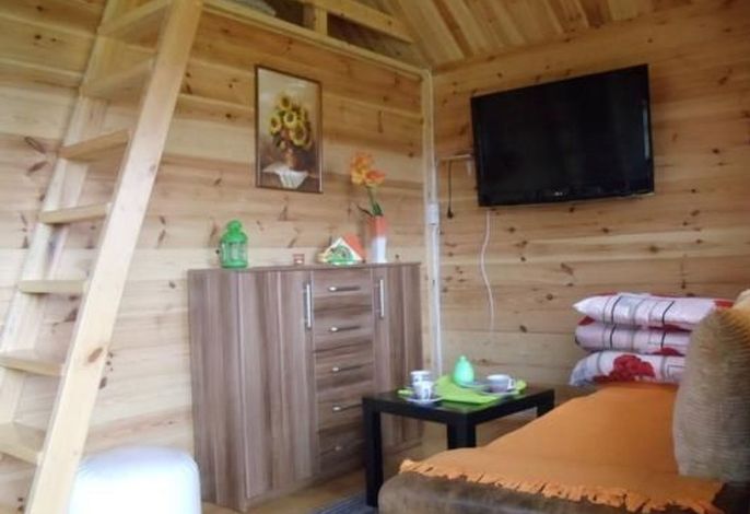 Bild 12