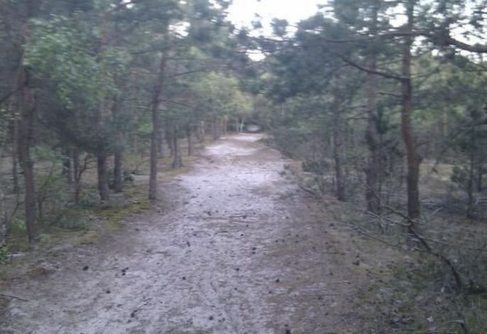 Bild 18