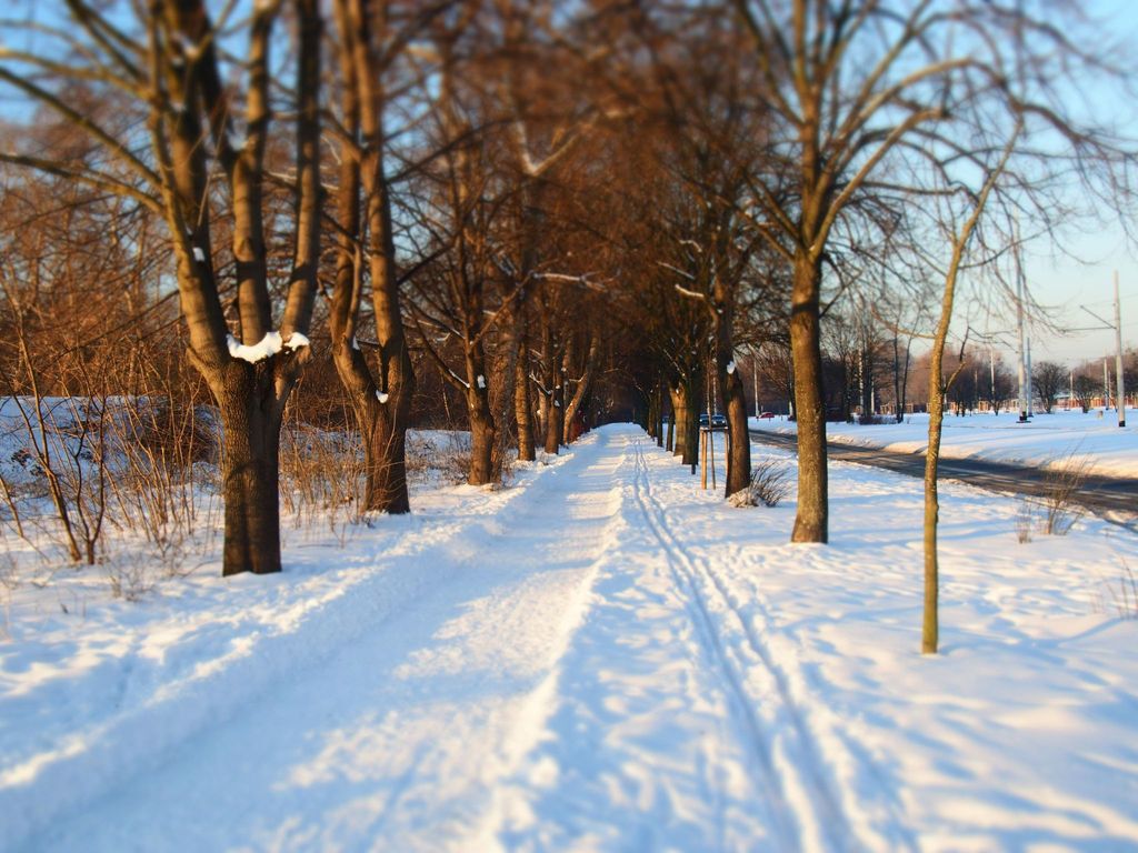 Wohnung in Brzeźno mit Großem Garten
