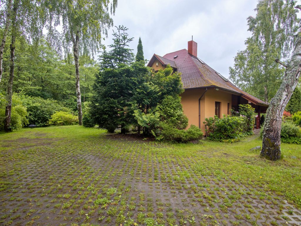 Borowikowa