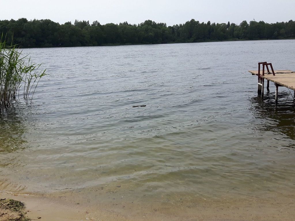 mit Wasserblick