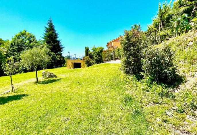 Bild 12