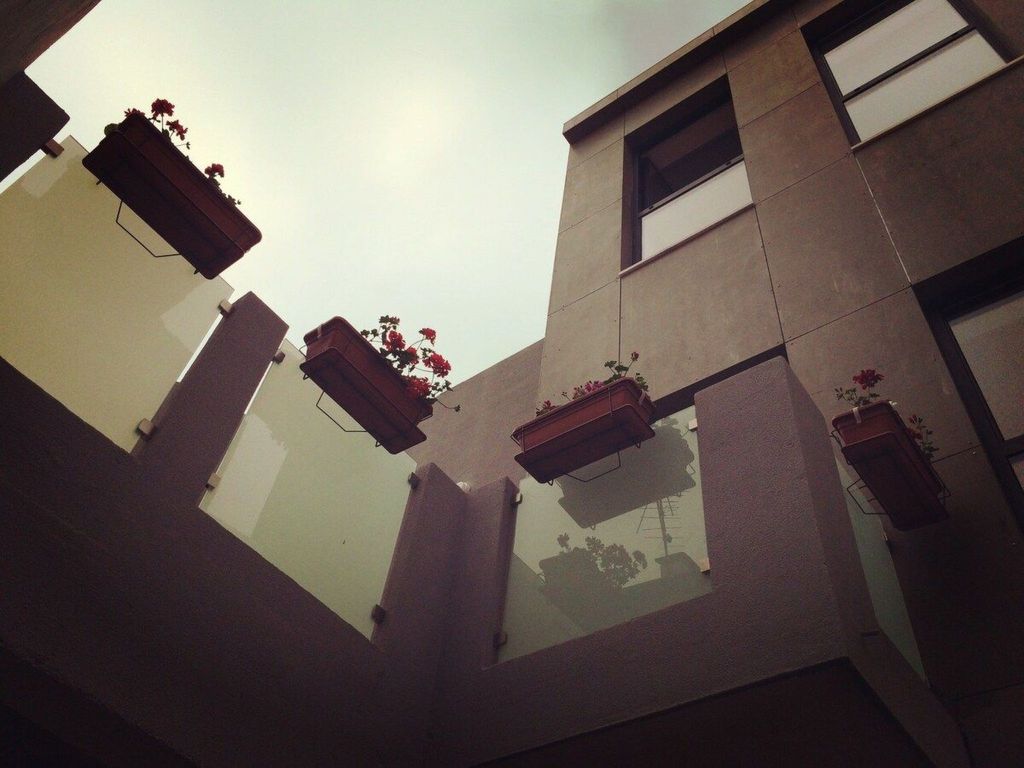 Haus im Hof 2