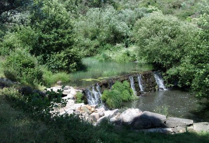 Bild 16