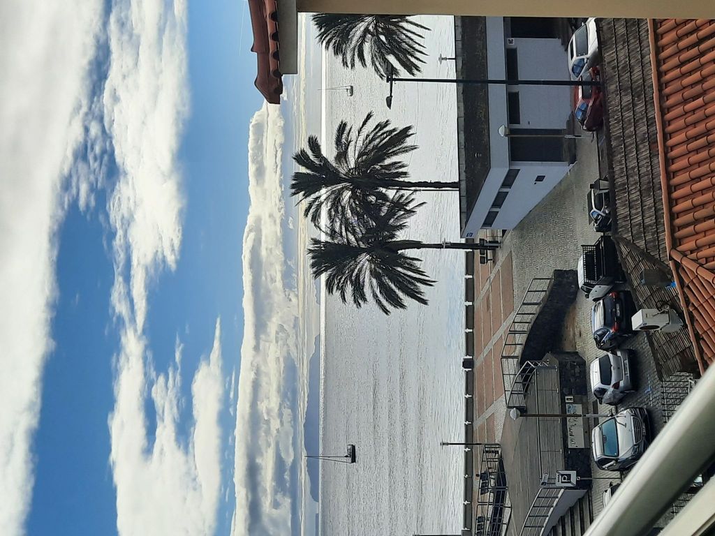 Sunny Beach Machico Wohnung
