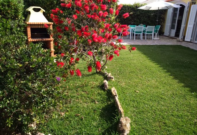 Bild 14