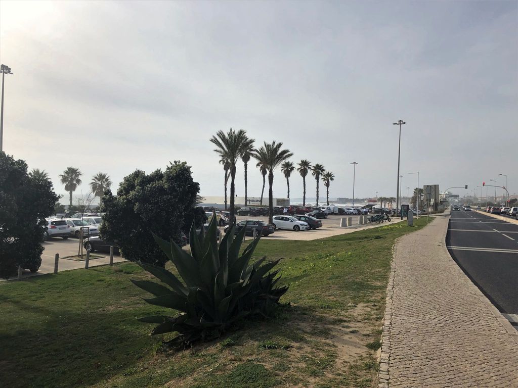 Carcavelos Sol