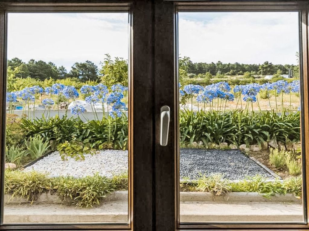 Träumende Aussichten im Douro