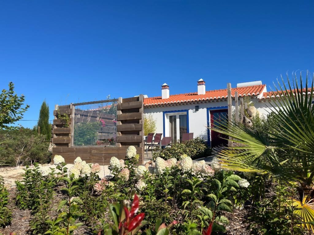 Haus Bamboo in Odeceixe mit ruhiger Terrasse