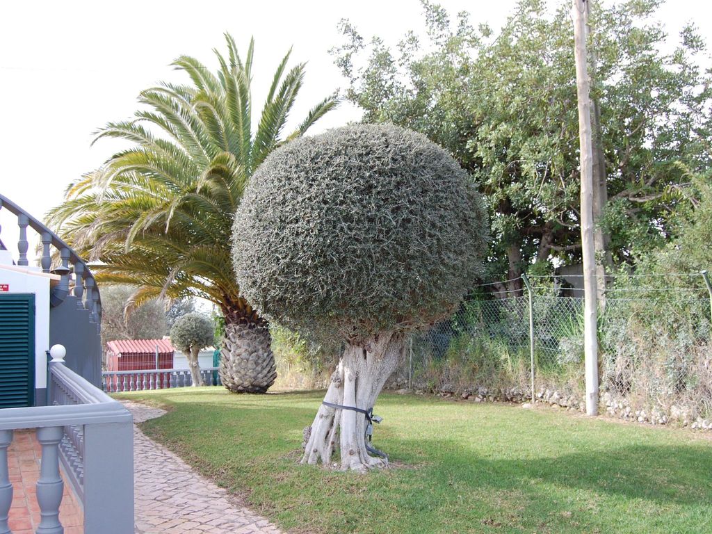 Villa Monte Alegrete