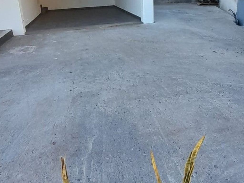 Casa Magic Vieira - Mit nahen Dienstleistungen