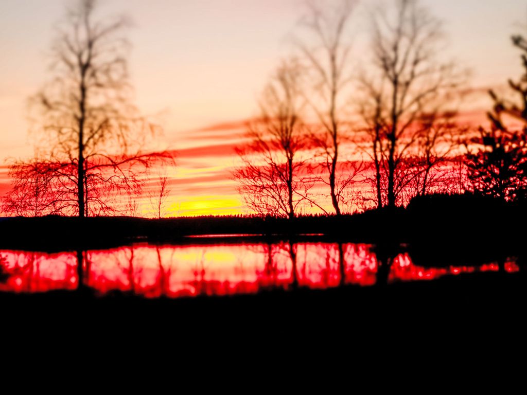 Fjällrävstuga