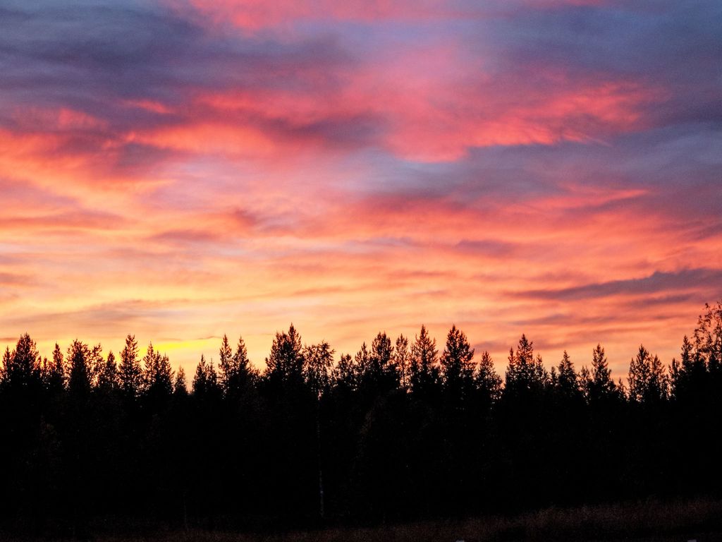 Järvstuga