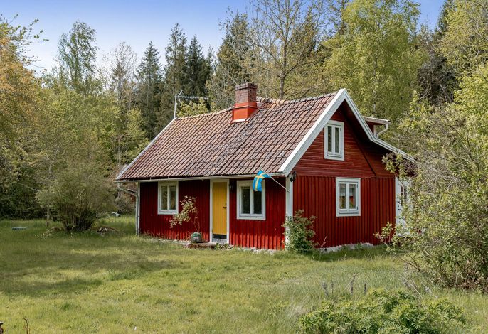 Hauptbild