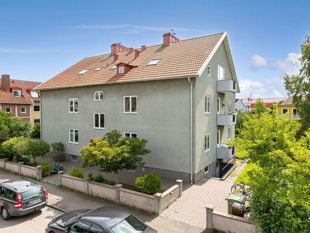 Måsalycke