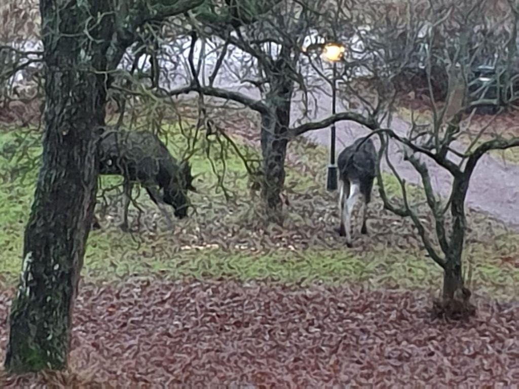 Schönes Ferienhaus am See Runn