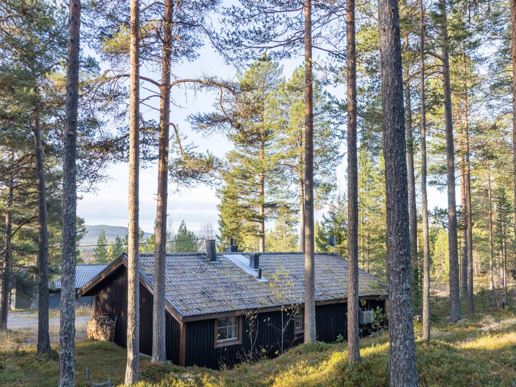 Lofsdalen Fjällnästet
