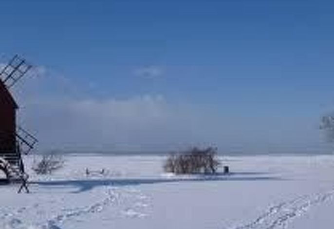 Bild 40