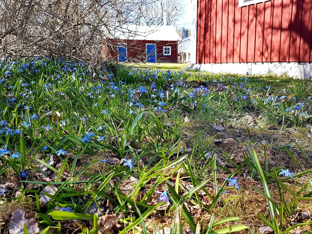 Särskilda